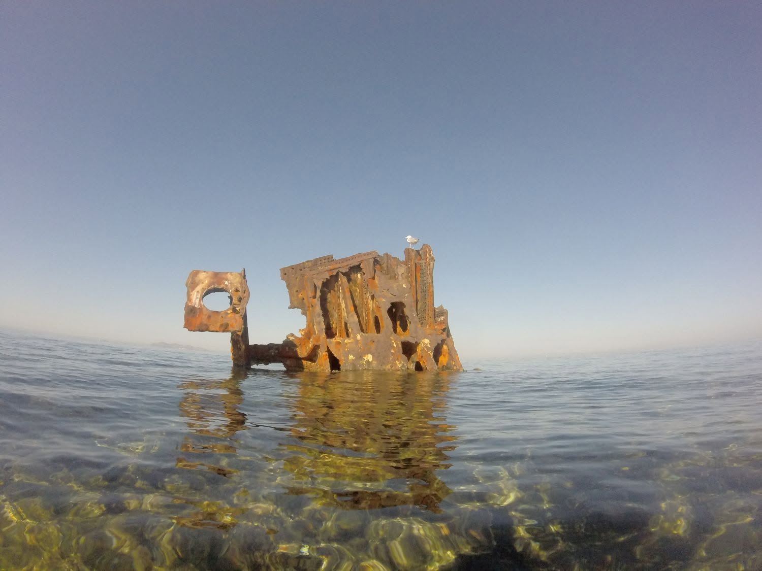 Relitto Motonave Città di Trapani